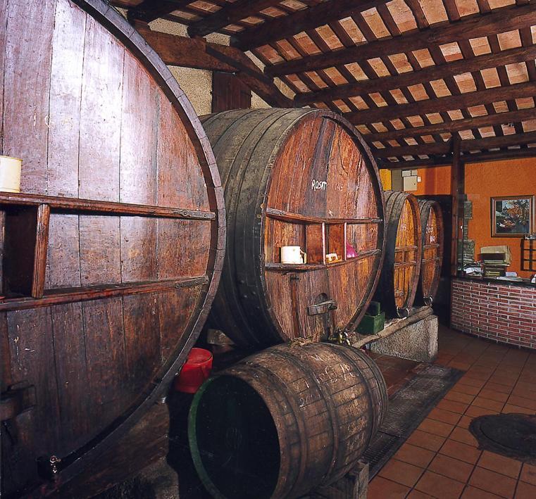 Hostal Mallorquines Riudarenes Exteriér fotografie